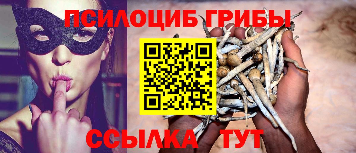 Ейск  Галлюциногенные грибы ЛСД  Галлюциногенные грибы Magic Shrooms  Вход с VPN 